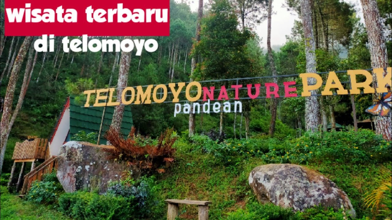 Jelajahi Telomoyo Nature Park, Surga Alam di Jawa Tengah